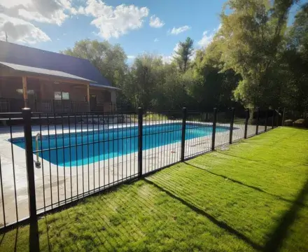 Backyard pool with aluminium fence